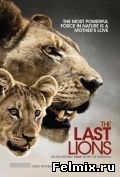 Последние львы (2011)