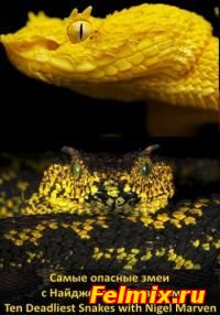 Самые опасные змеи с Найджелом Марвином / Ten Deadliest Snakes with Nigel Marven онлайн