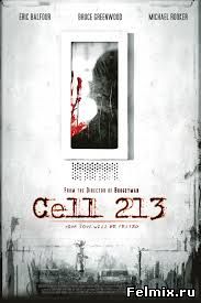 Камера 213 (2010)