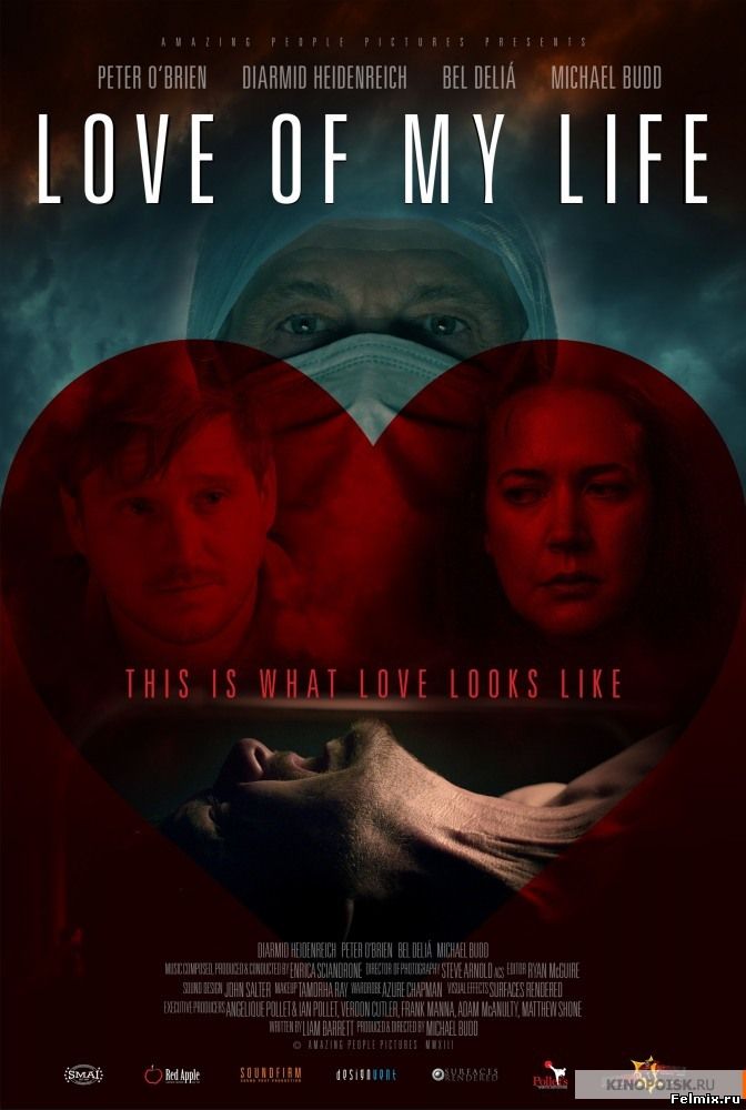 Любовь моей жизни (2013)