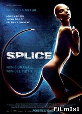 Splice / Химера